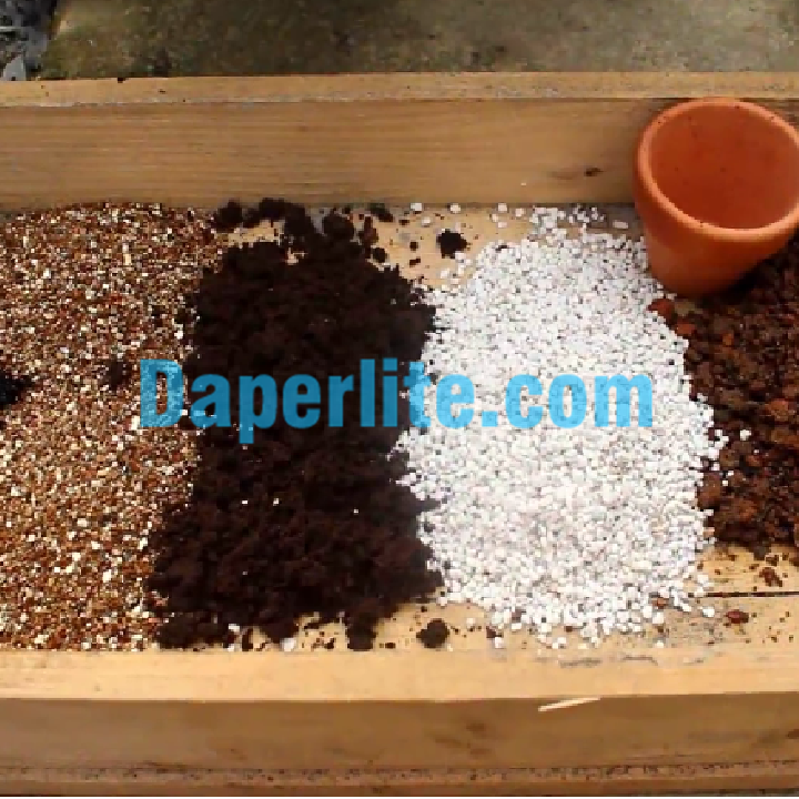 Sử dụng đá Perlilte và Vermiculite phân biệt về màu sắc