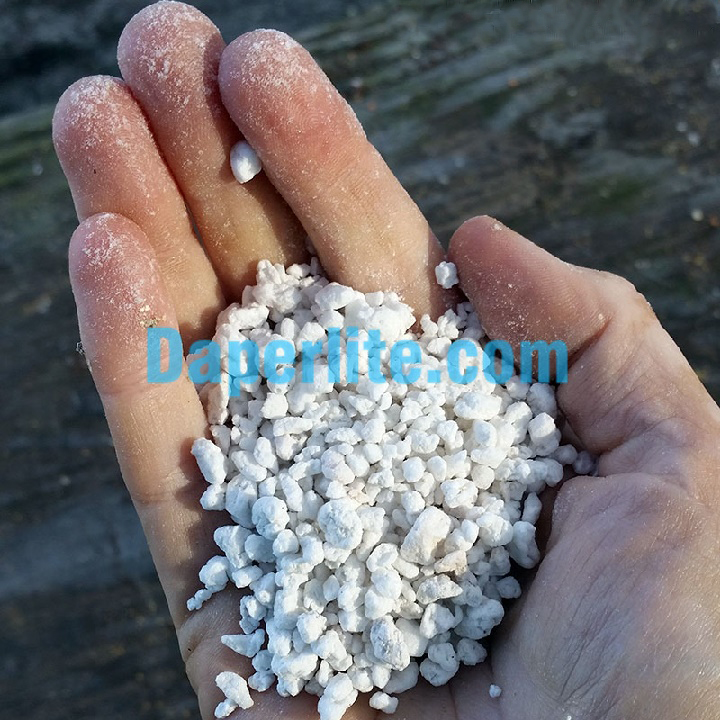 Đá Perlite trân châu dùng để trộn trong đất sạch