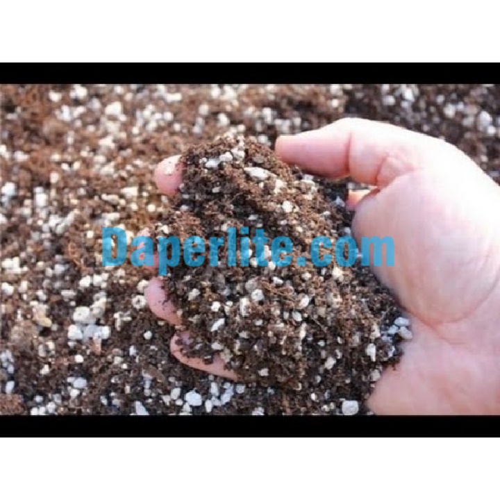 Đá Perlite trộn mùn dừa đá qua xử lý trồng cây đạt hiệu quả hơn