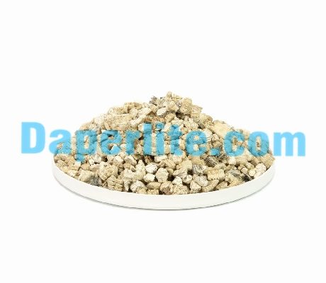 Đá Vermiculite sử dụng cho những cây ưa ẩm cao