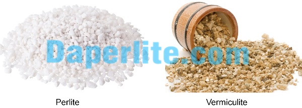 Perlite và Vermiculite có những điểm khác nhau