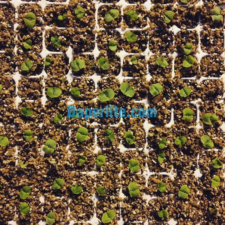 Giá thể trồng cây cao cấp Vermiculite