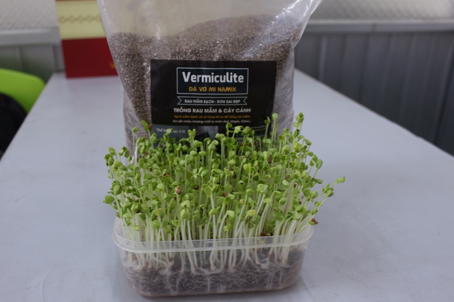 Đá Vermiculite trồng rau mầm. đá vermiculite Namix