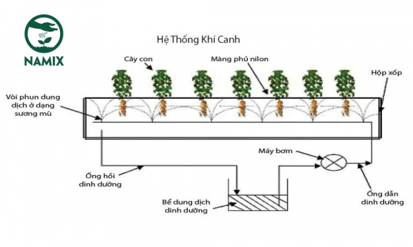 Khí canh là gì? Khí canh phù hợp với những loại cây trồng nào? - Đá
