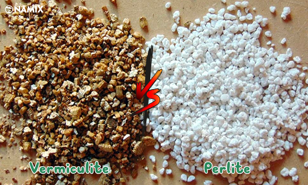 Lợi ích, ứng dụng Đá Vermiculite và đá Perlite là gì