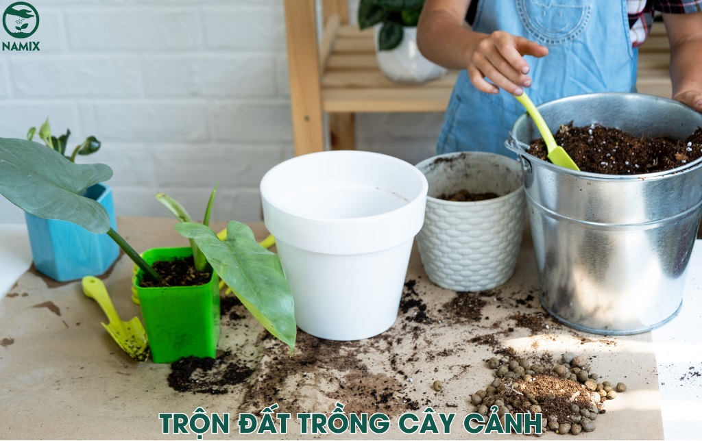 tron dat trong cay canh